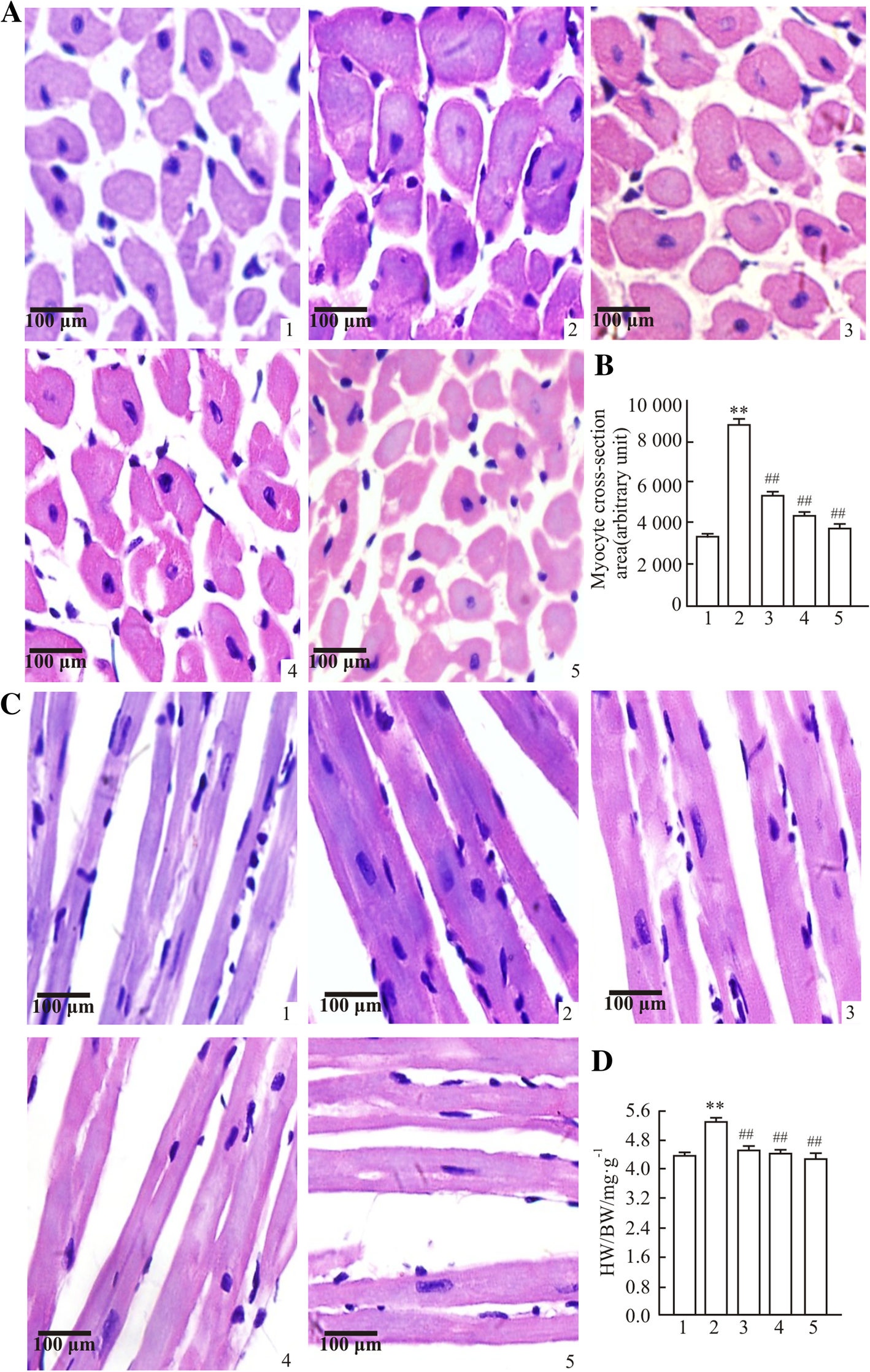 Fig. 4