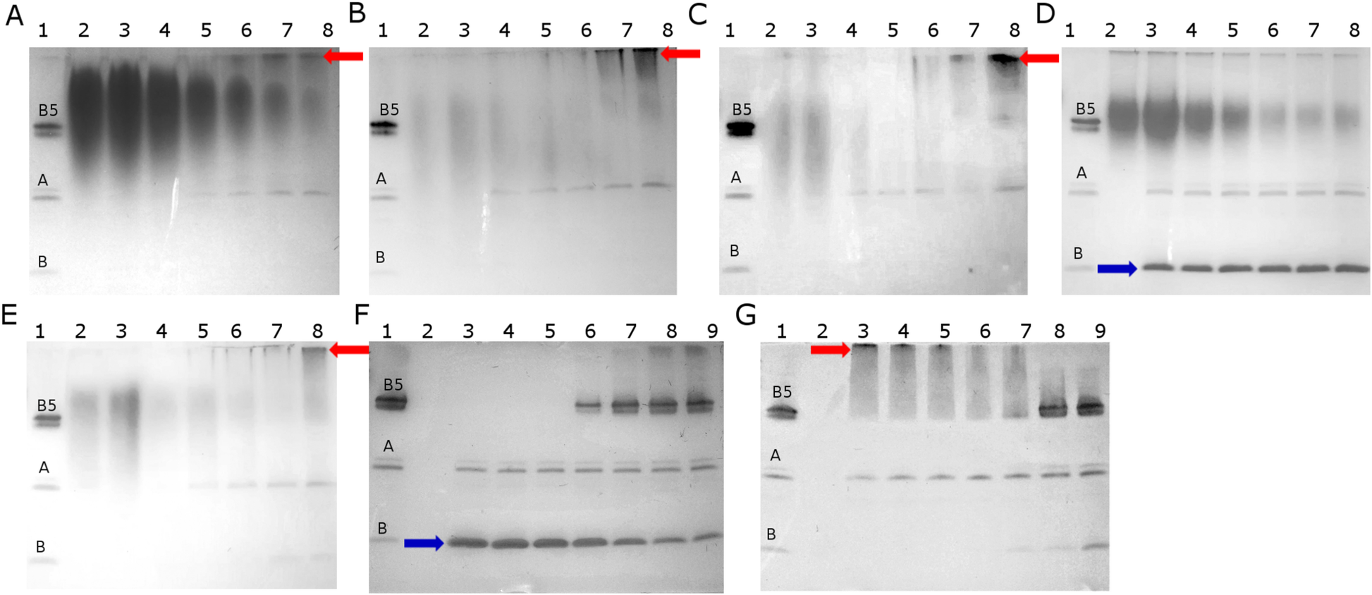 Fig. 7