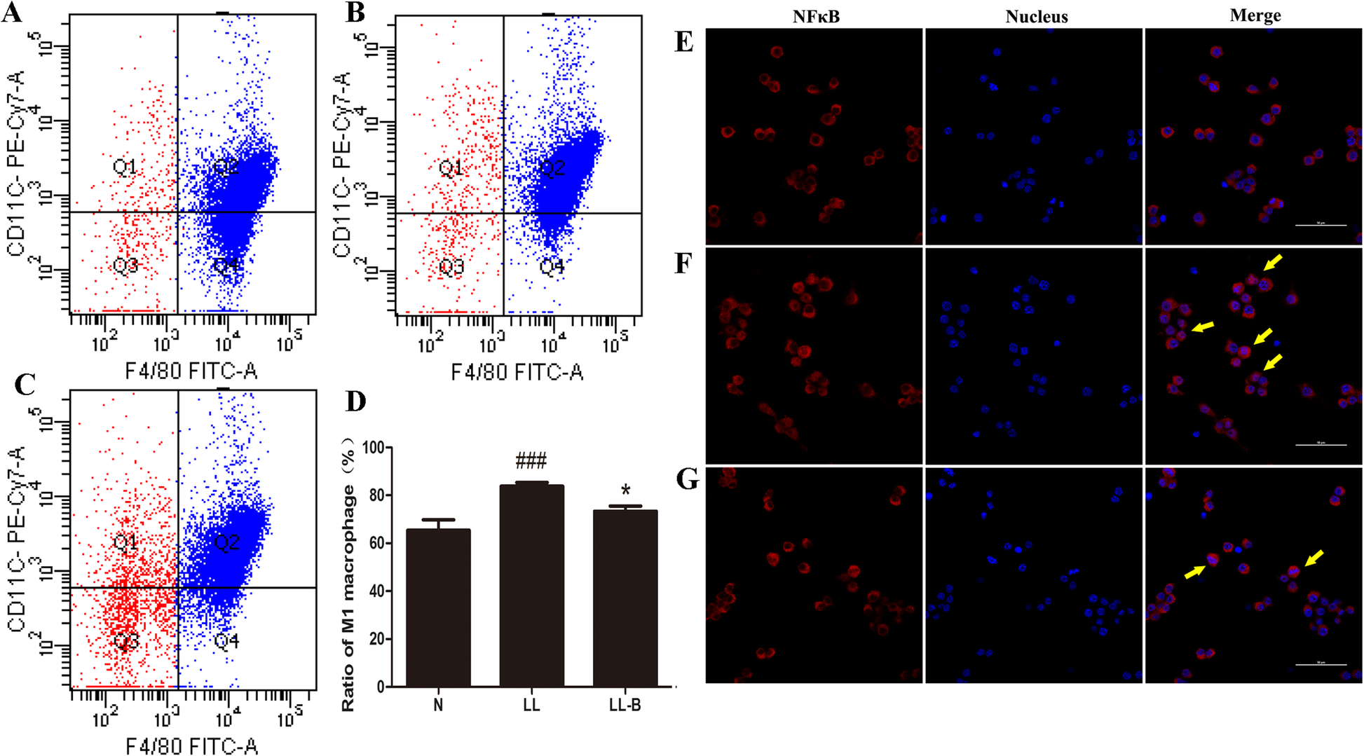 Fig. 7