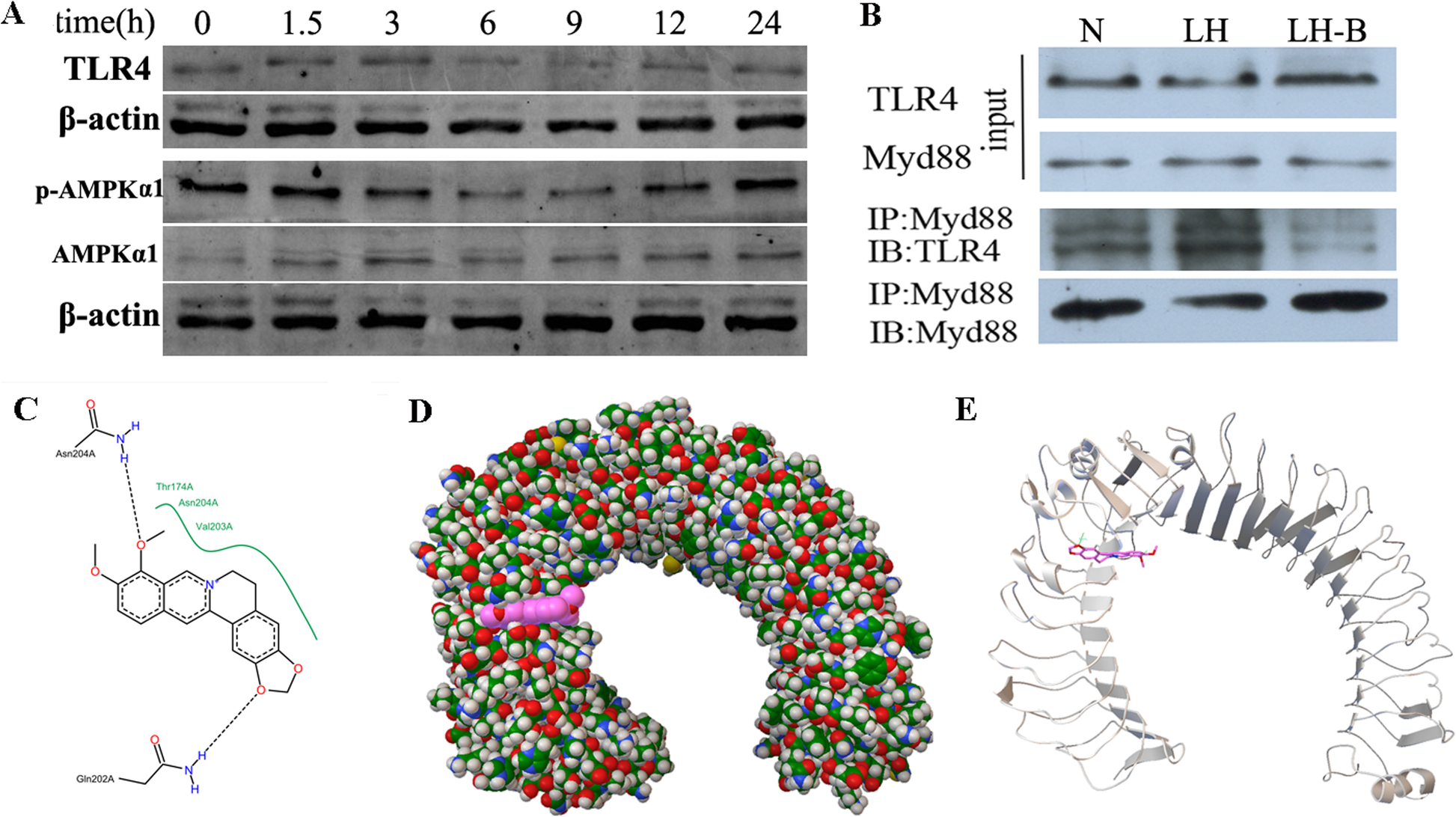 Fig. 9