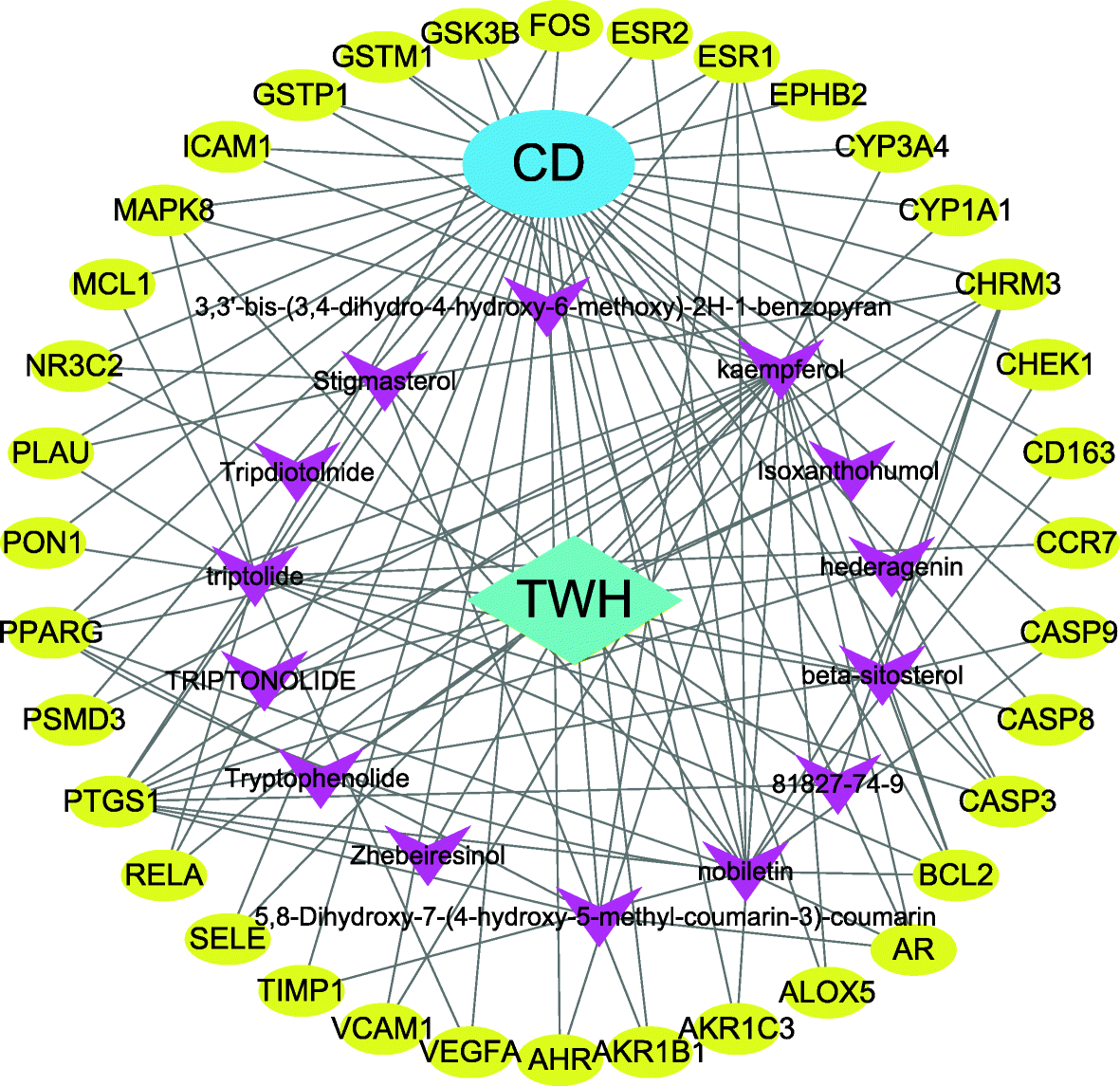 Fig. 2