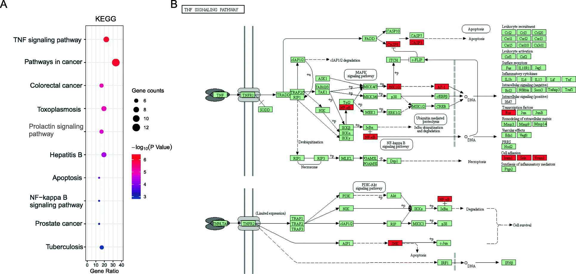 Fig. 6