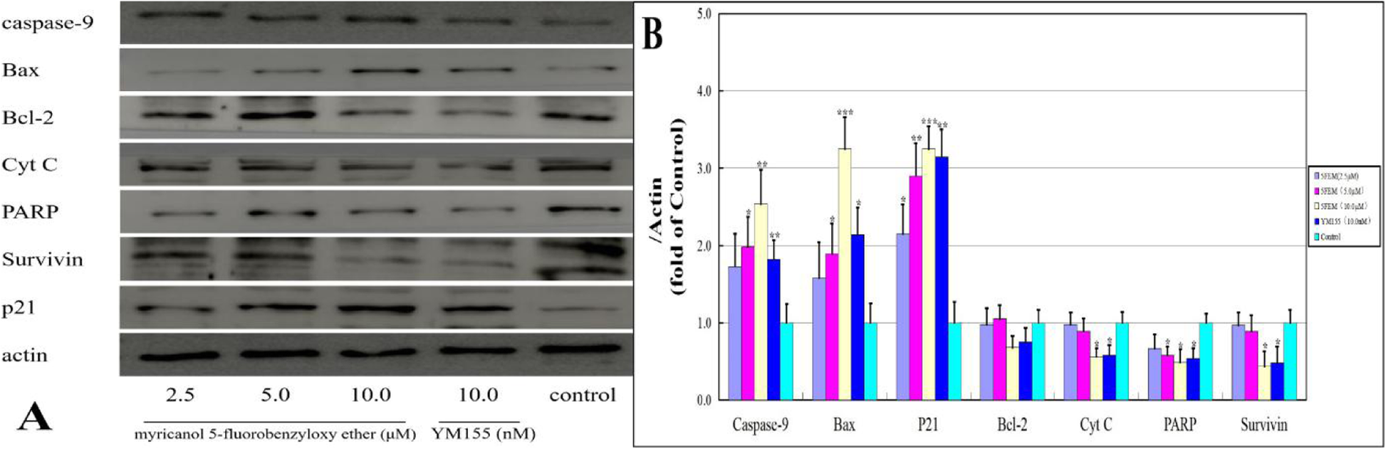 Fig. 11