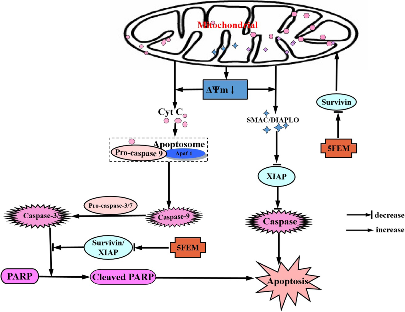 Fig. 12