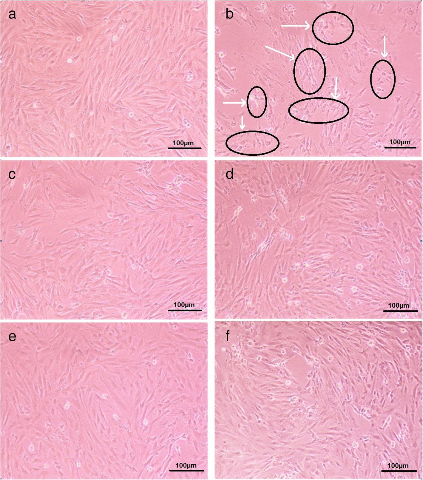 Fig. 4