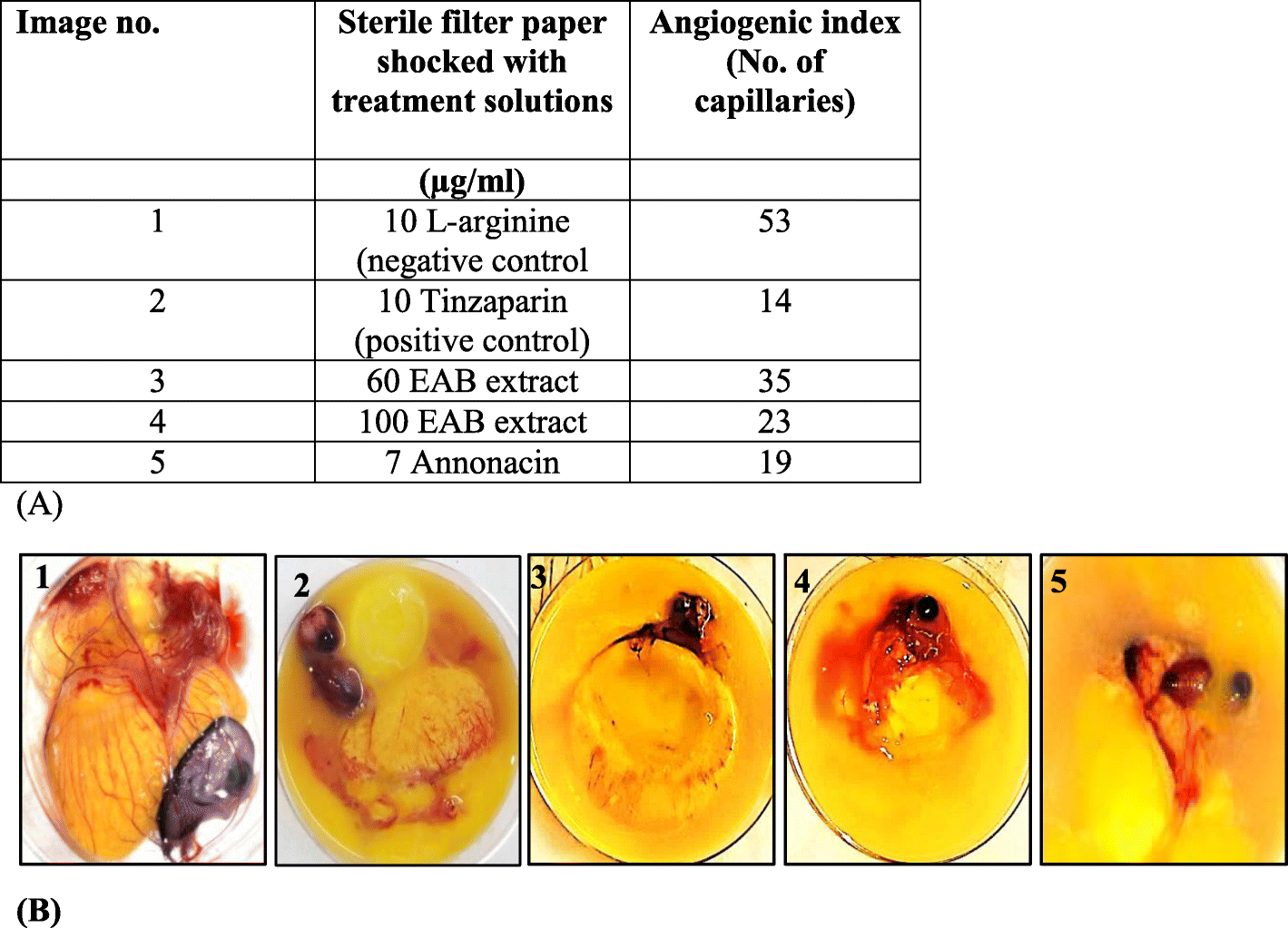 Fig. 10