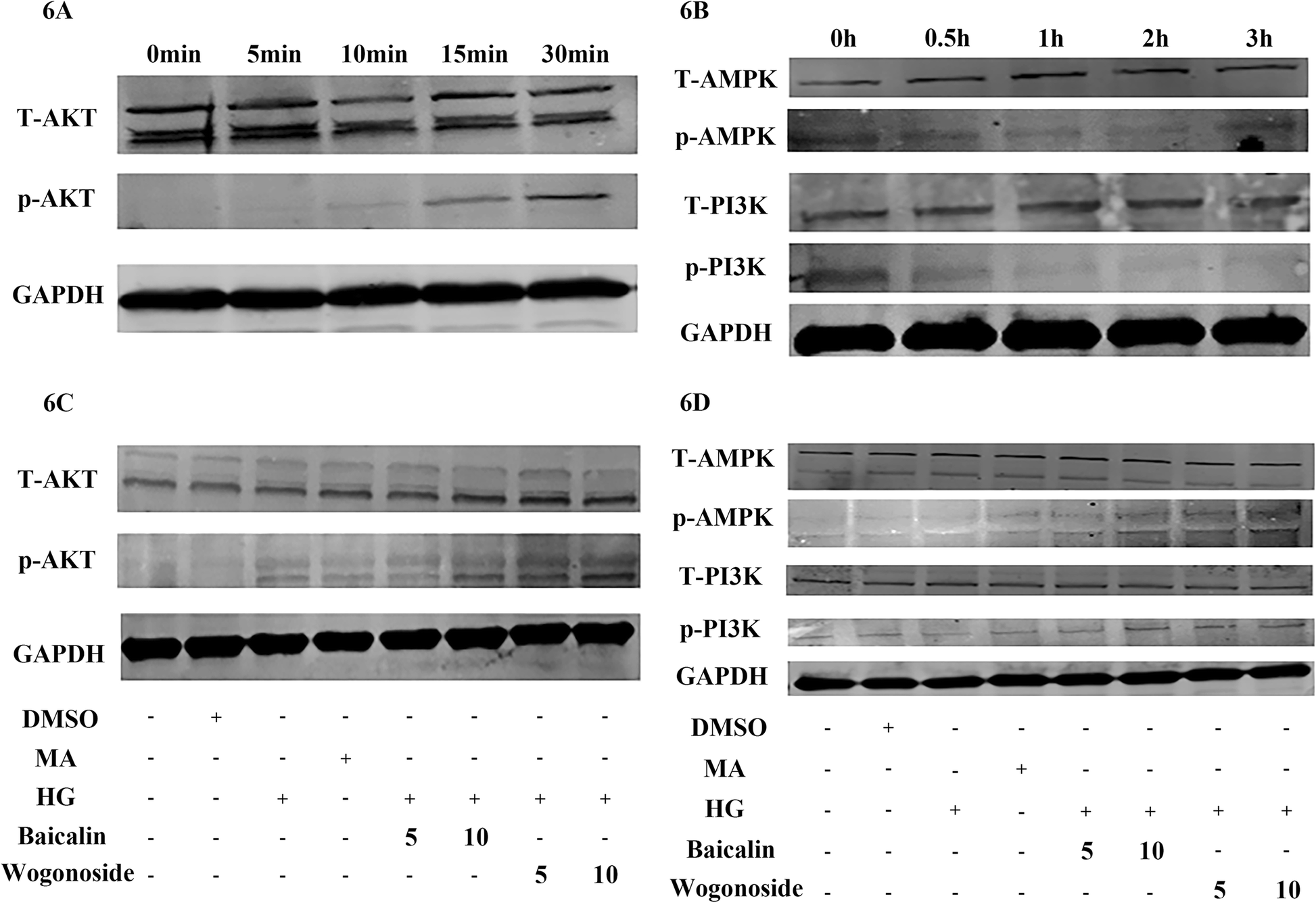 Fig. 6