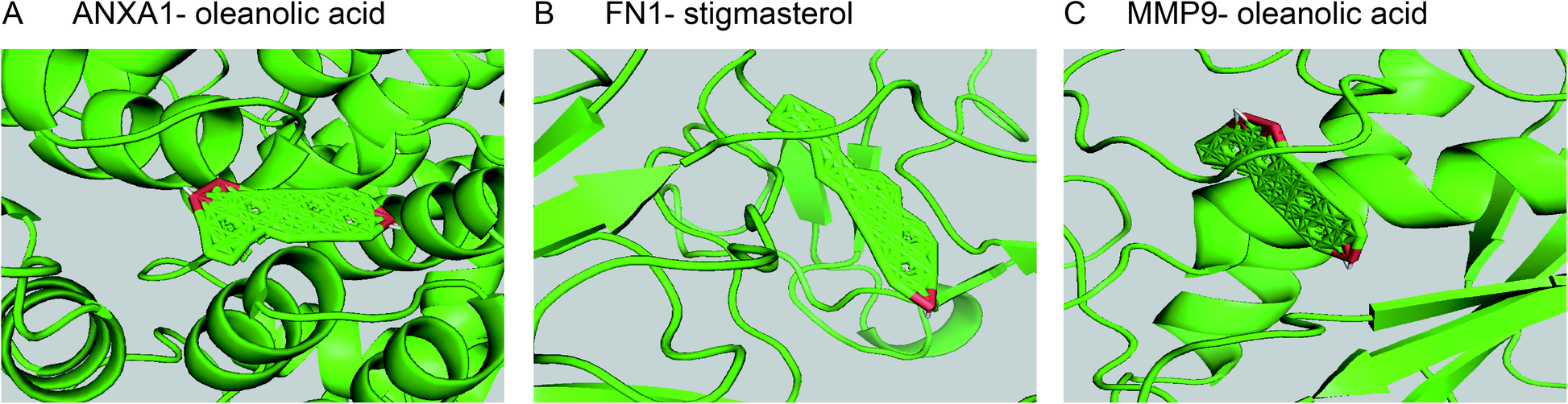 Fig. 9