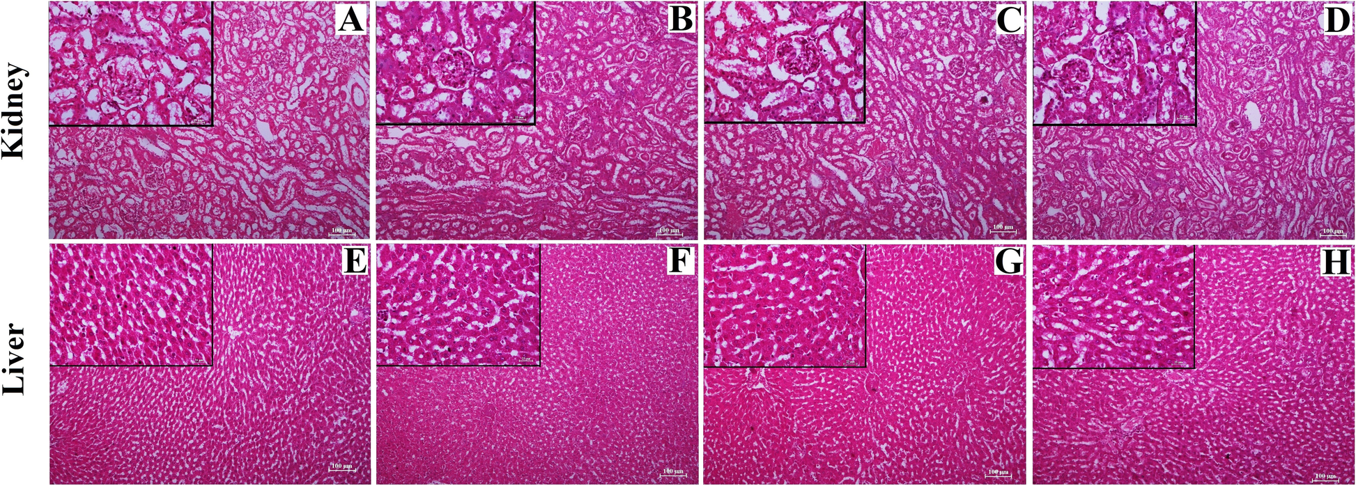 Fig. 7