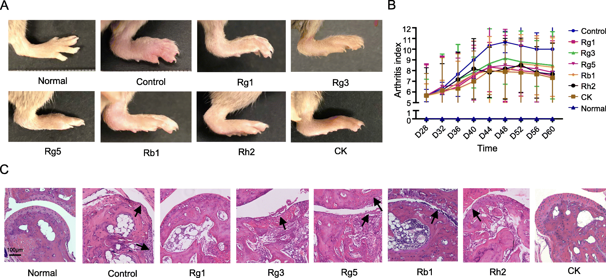 Fig. 4