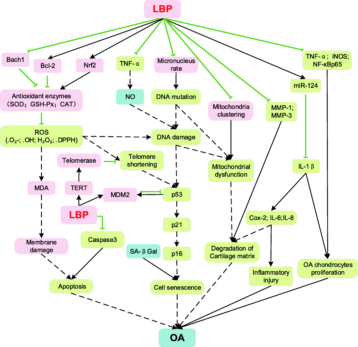 Fig. 5