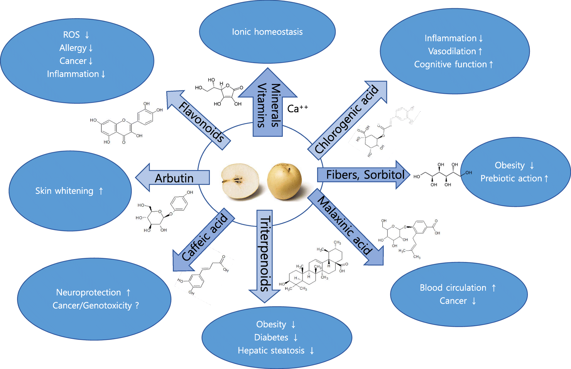 Fig. 2