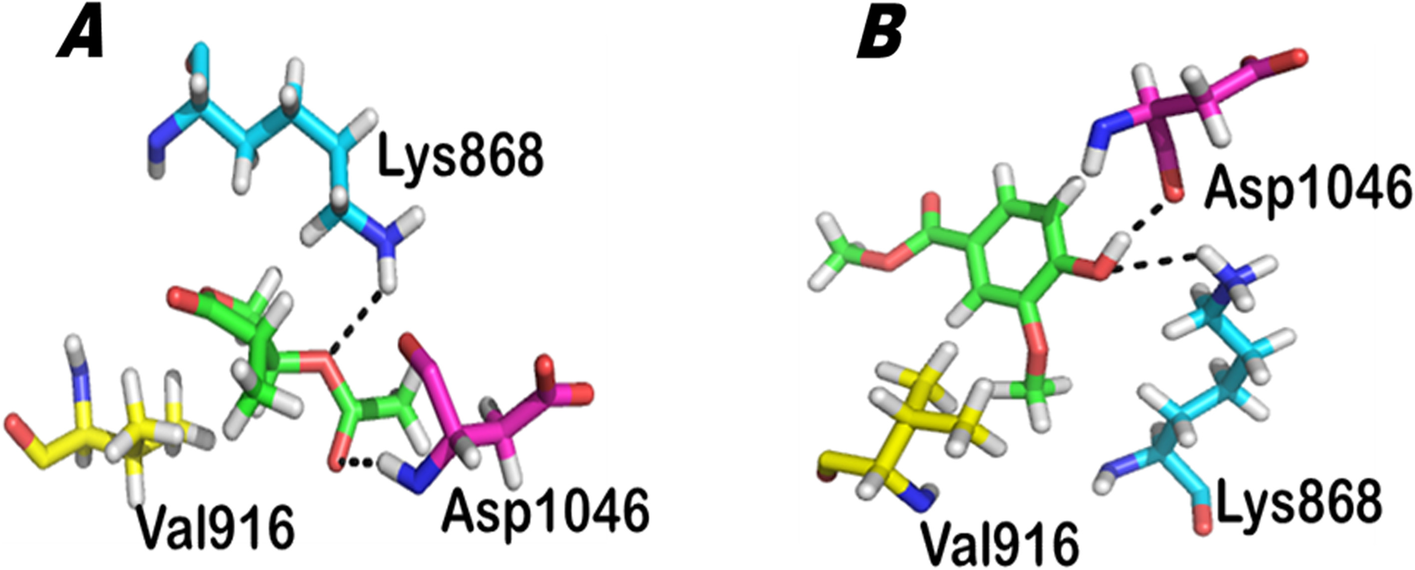 Fig. 8