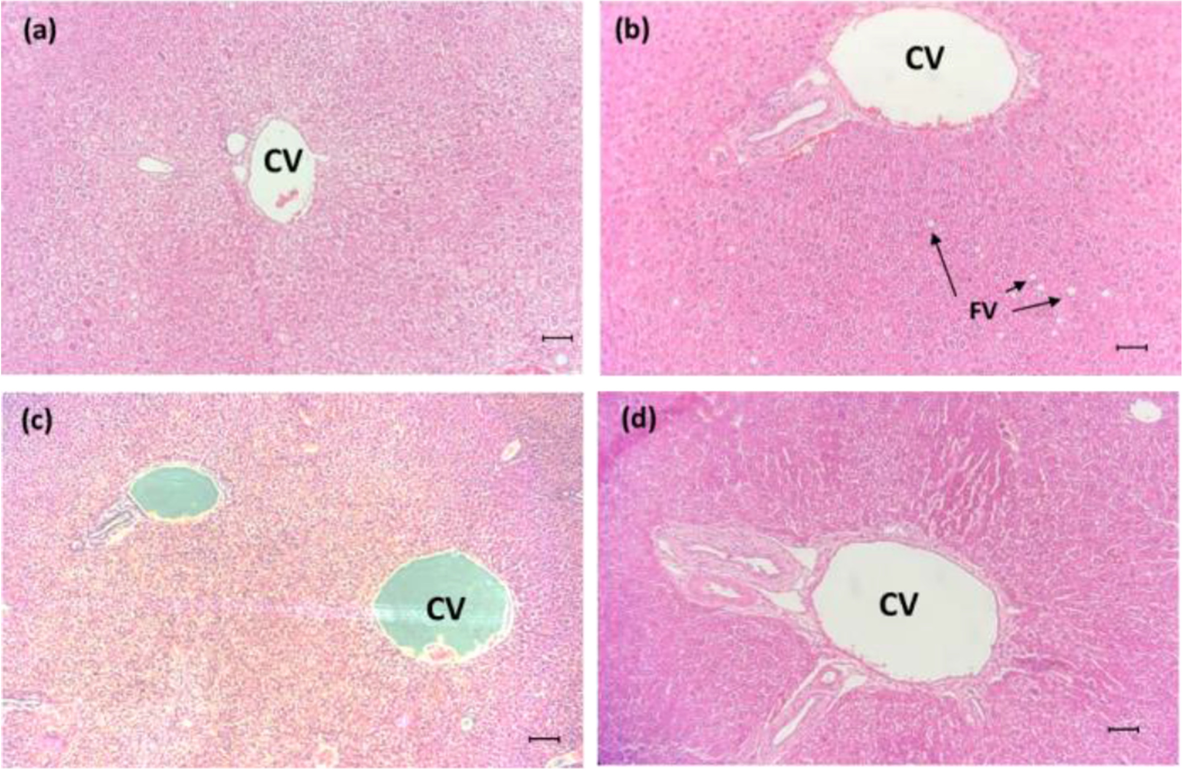 Fig. 9