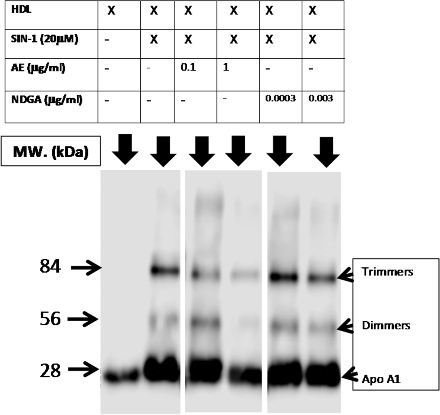 Fig. 10