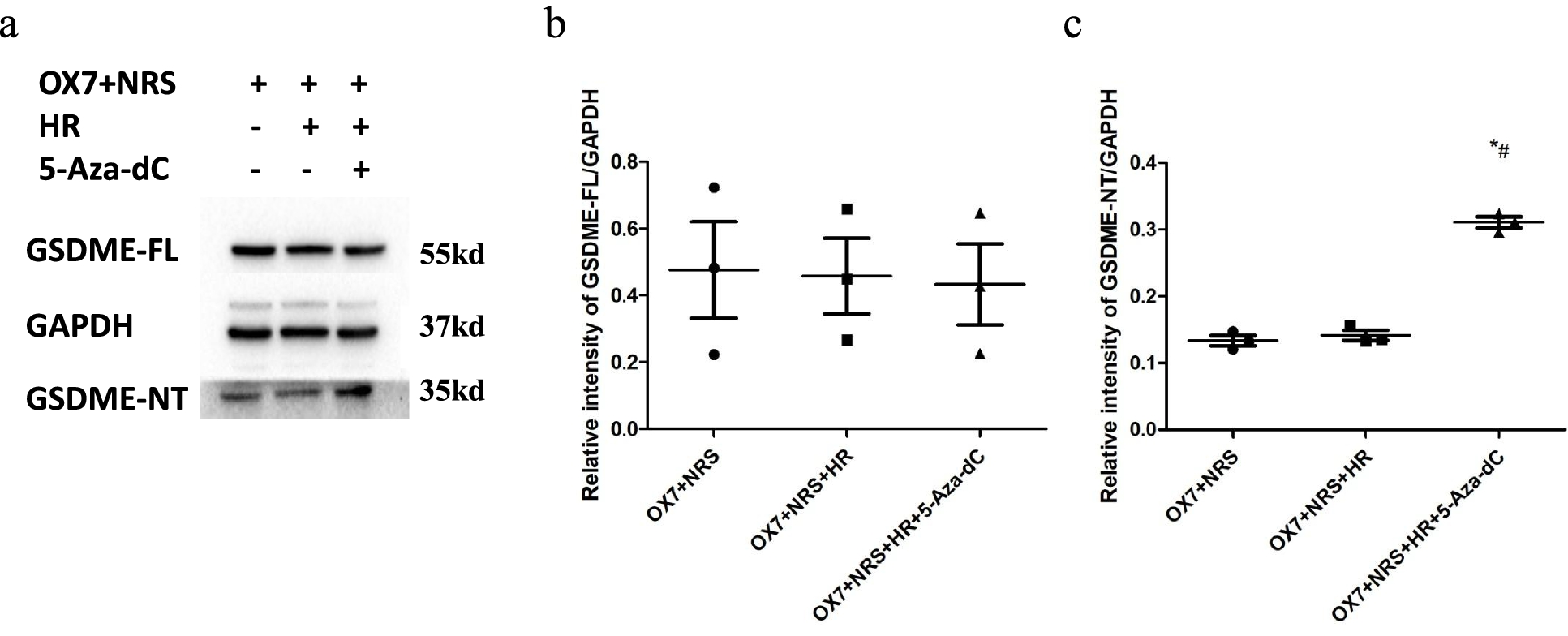 Fig. 9