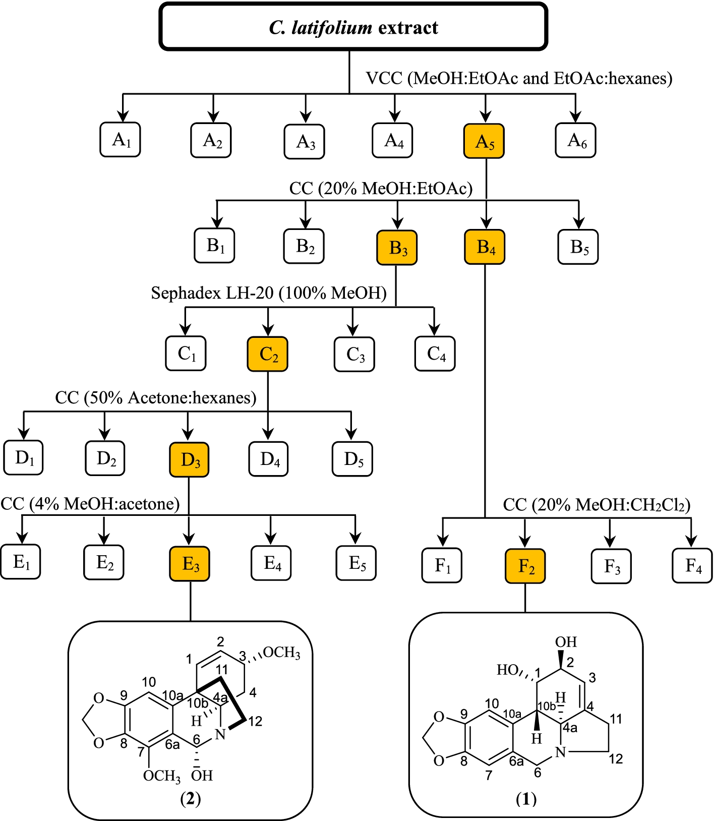 Fig. 3