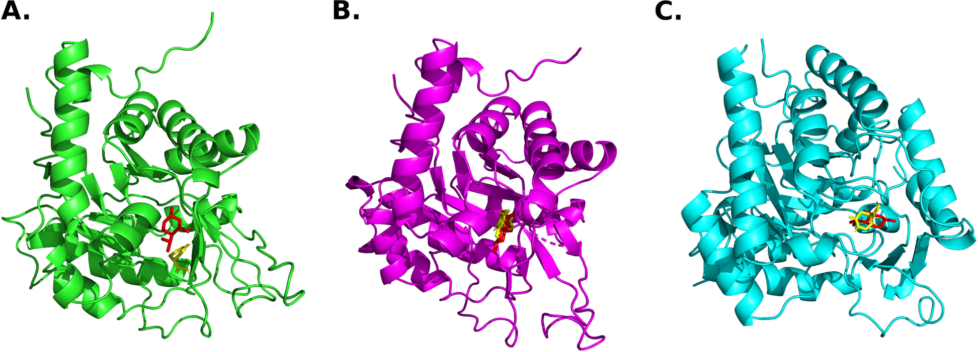 Fig. 2