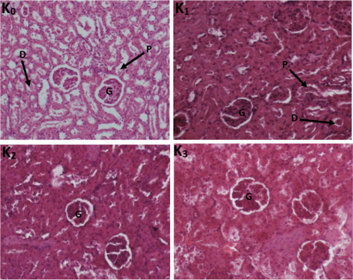 Fig. 5