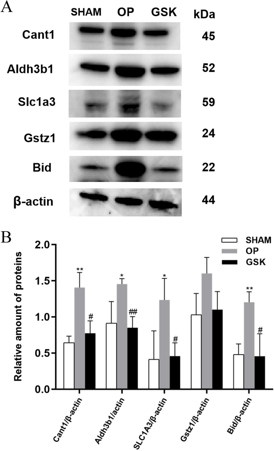 Fig. 9