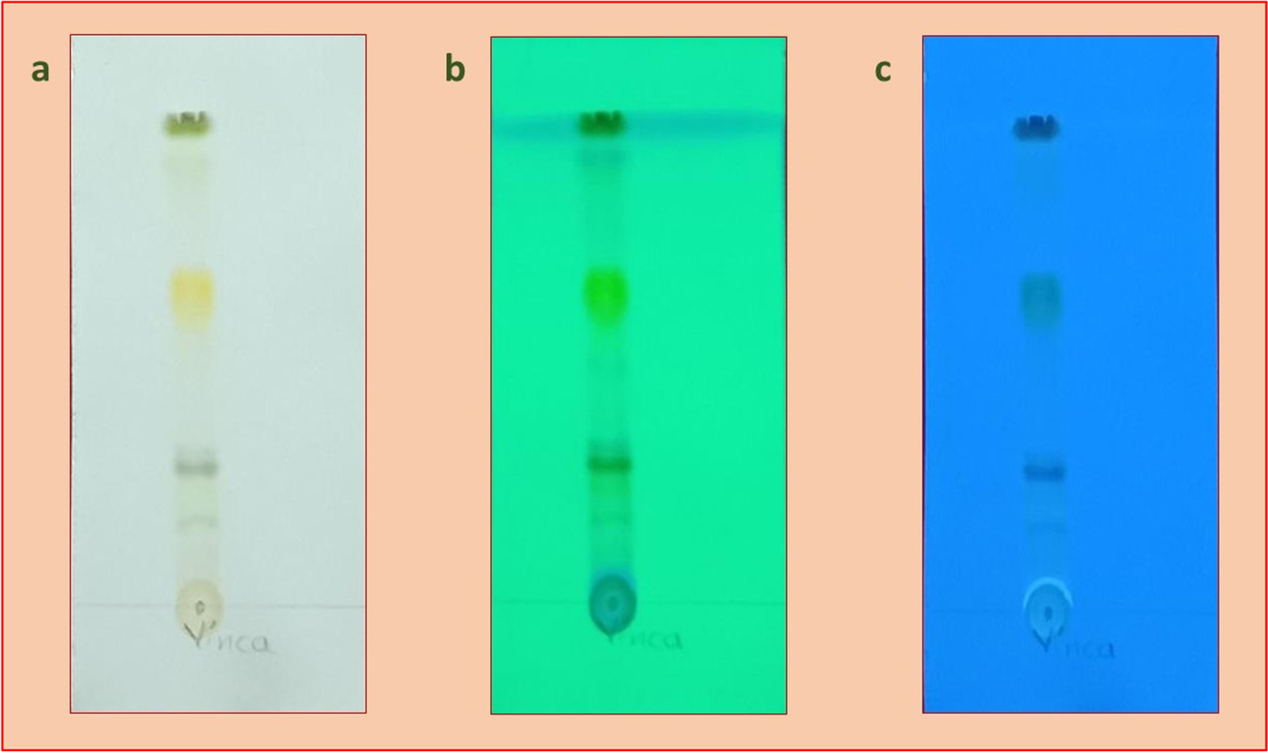 Fig. 2