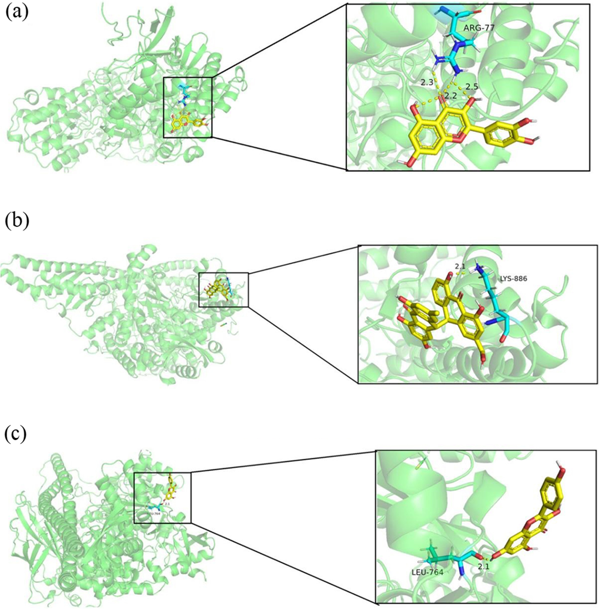 Fig. 3