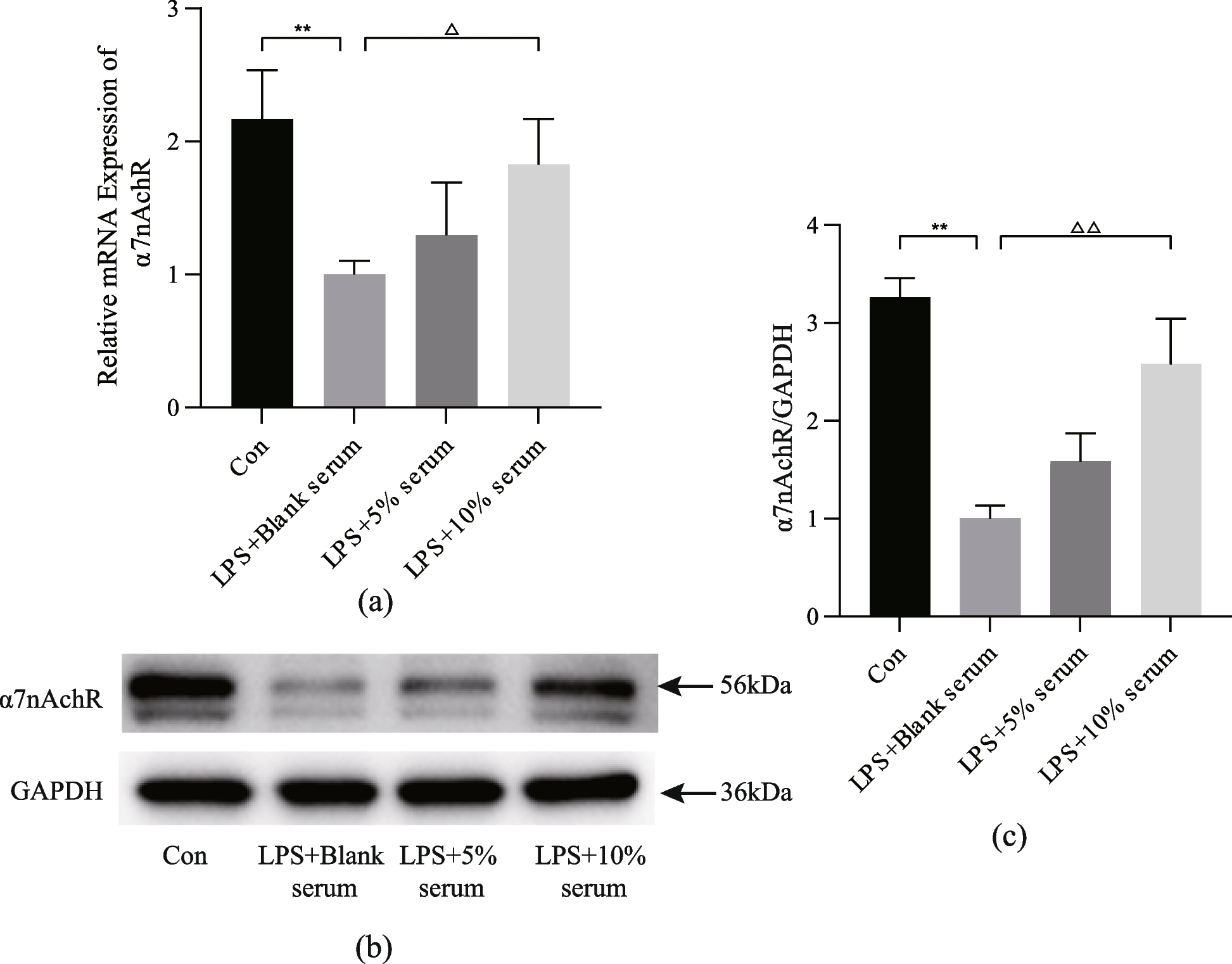 Fig. 11