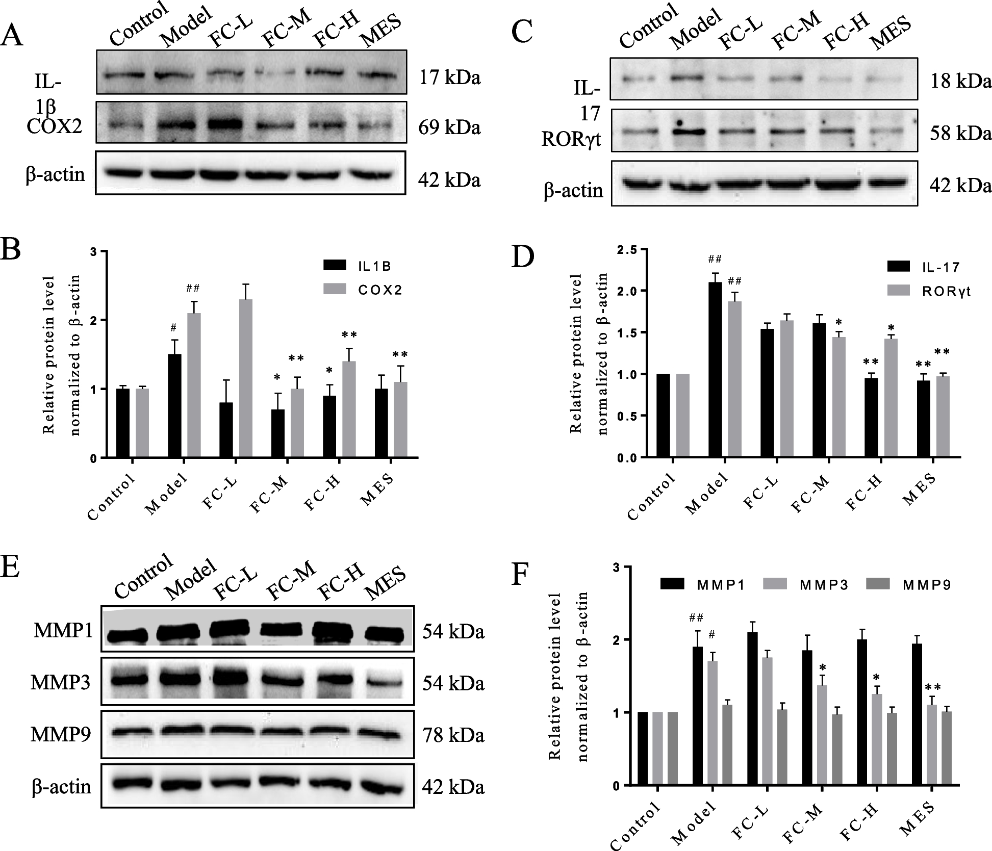 Fig. 11