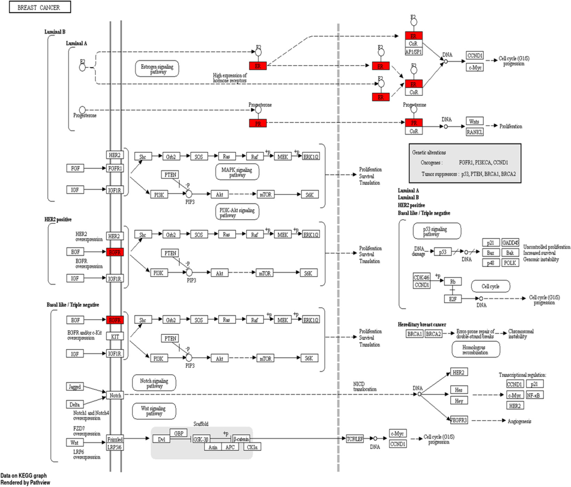 Fig. 12