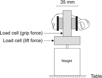 Fig. 1