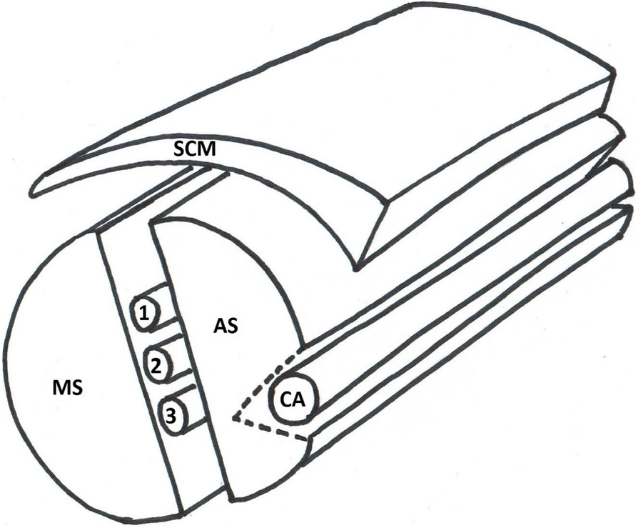 Fig. 7