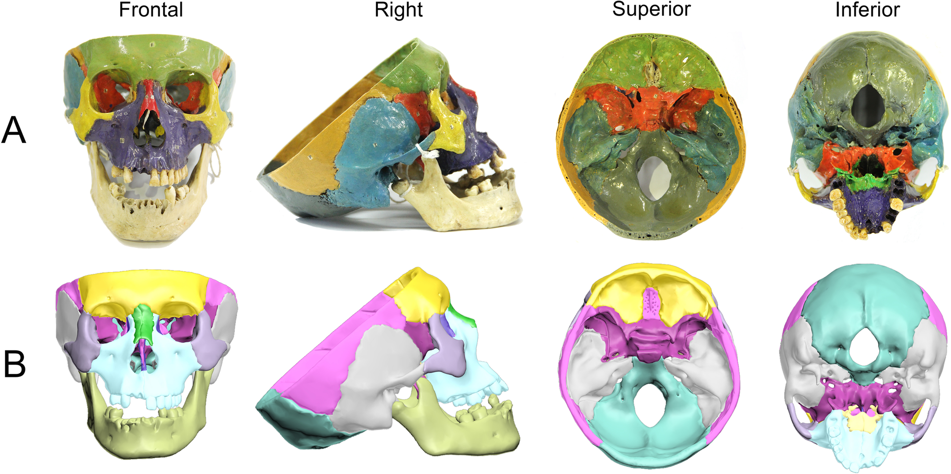 Fig. 1