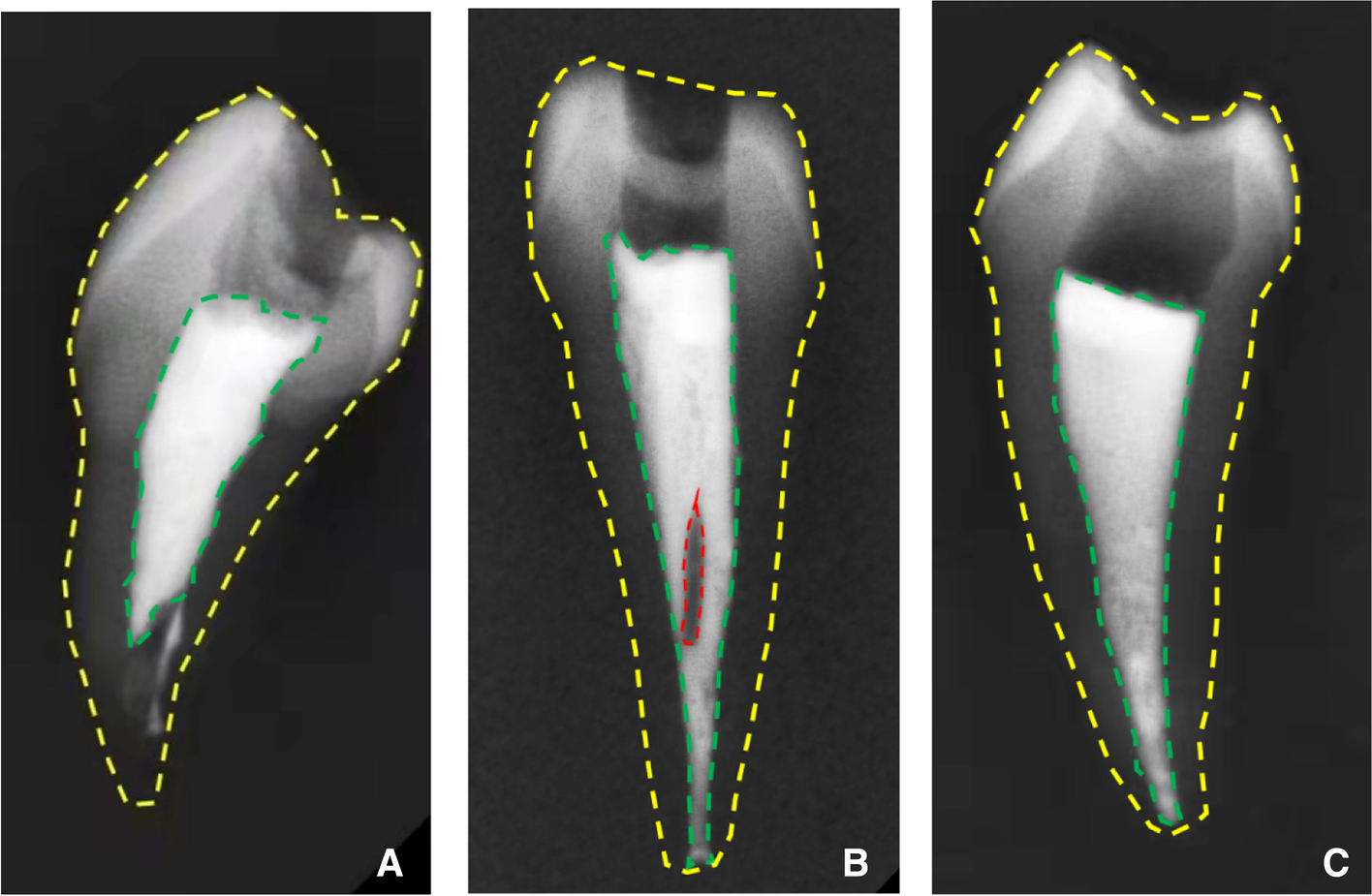 Fig. 2