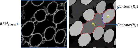 Fig. 10