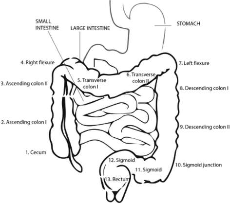 Fig. 2