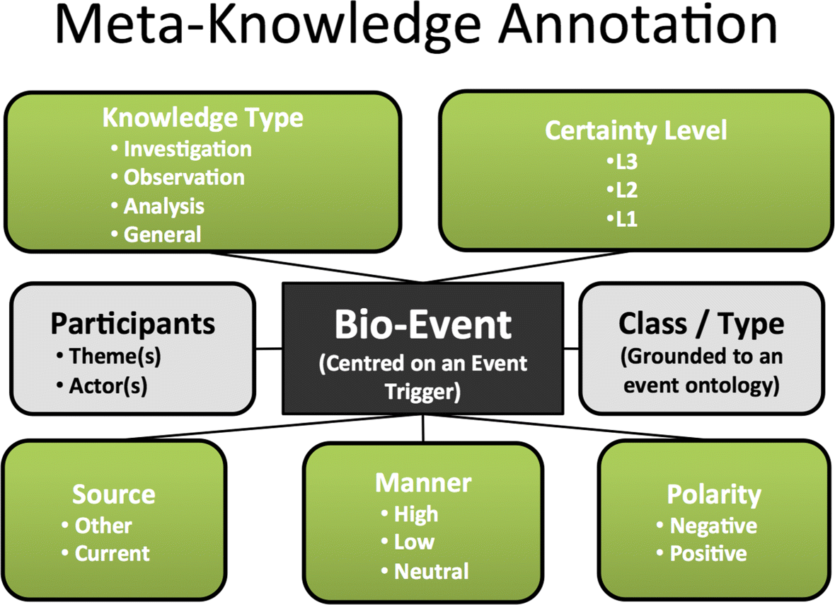 identification of research hypotheses and new knowledge from