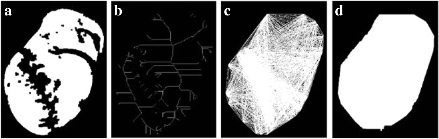 Fig. 13