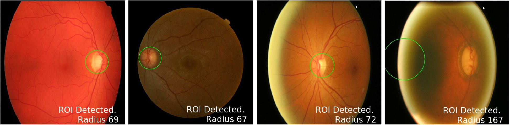 Fig. 5