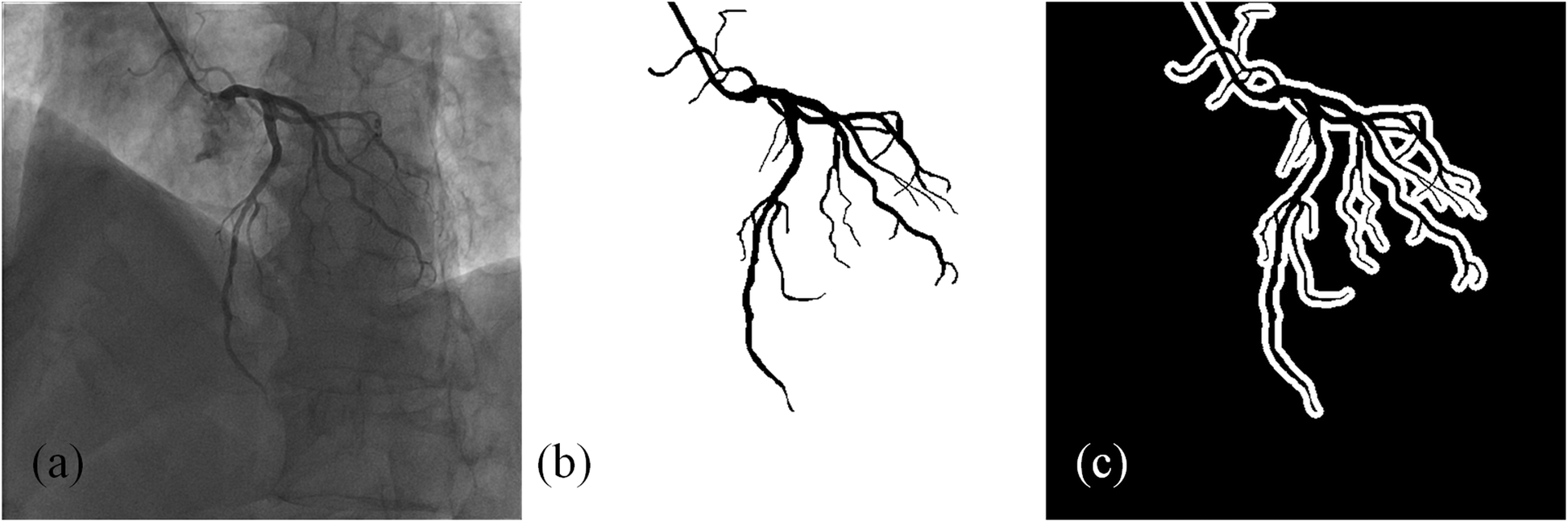 Fig. 1