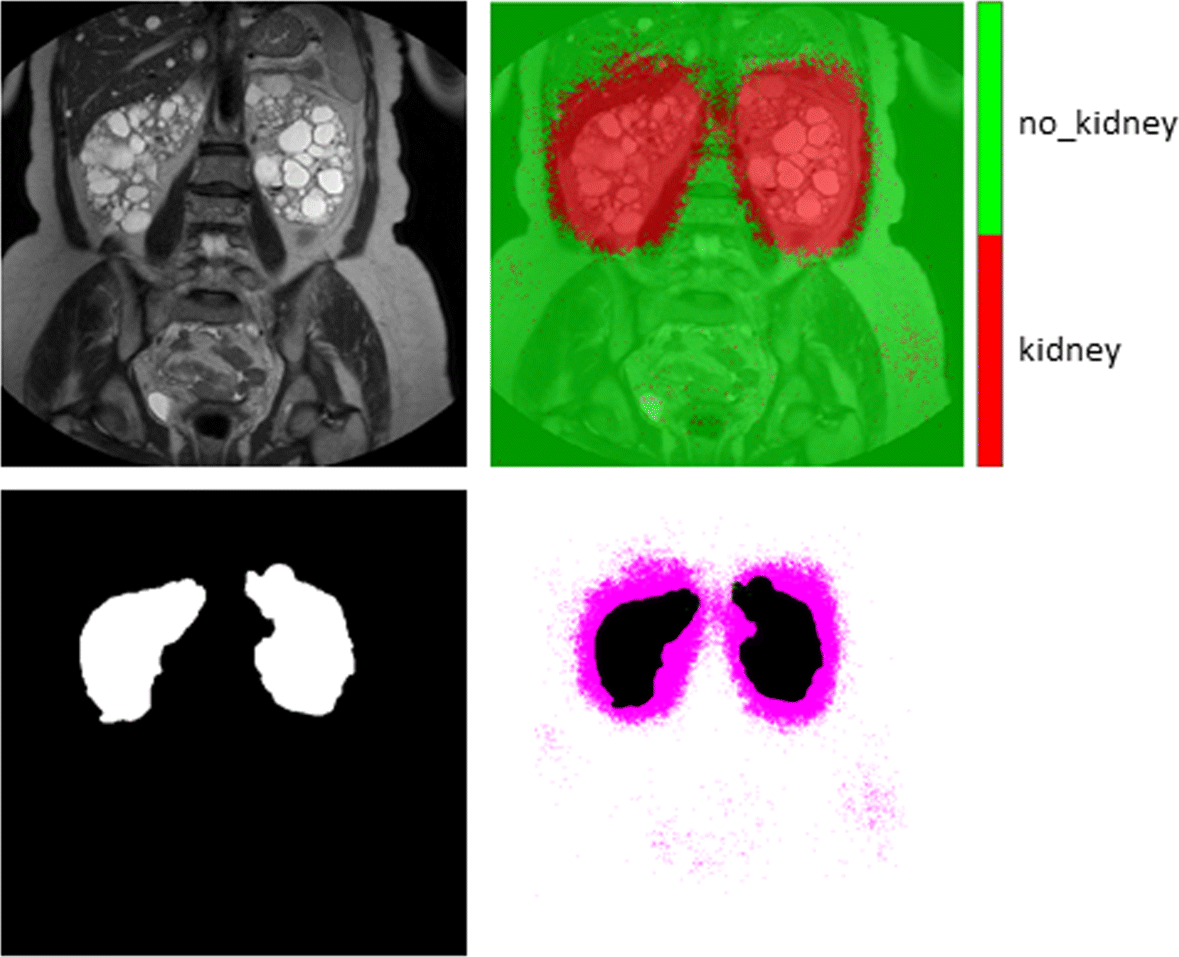 Fig. 9