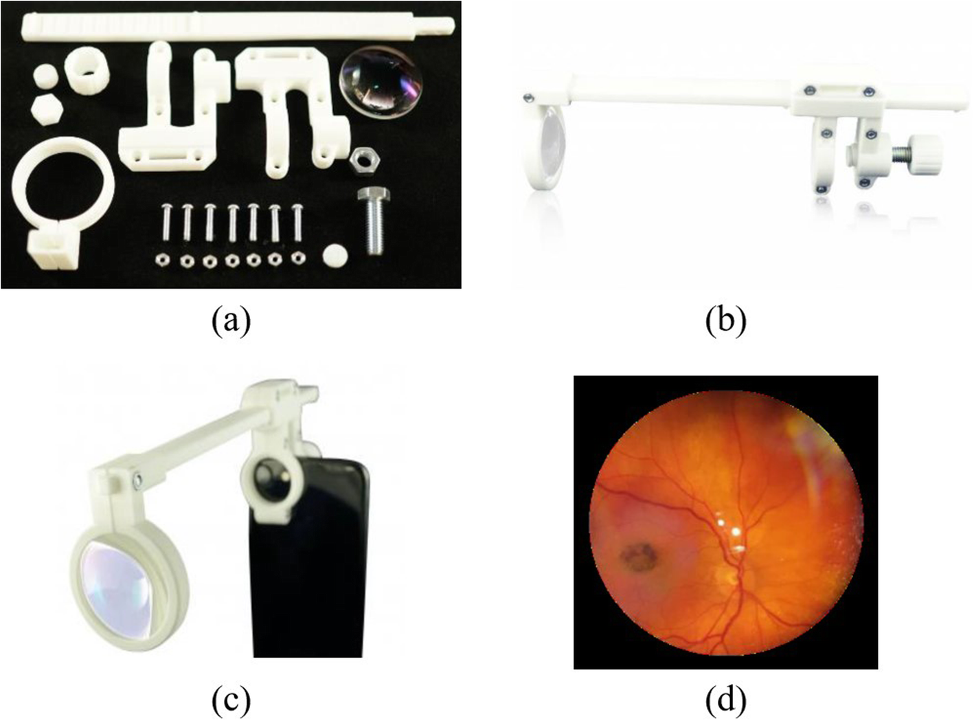 Fig. 1