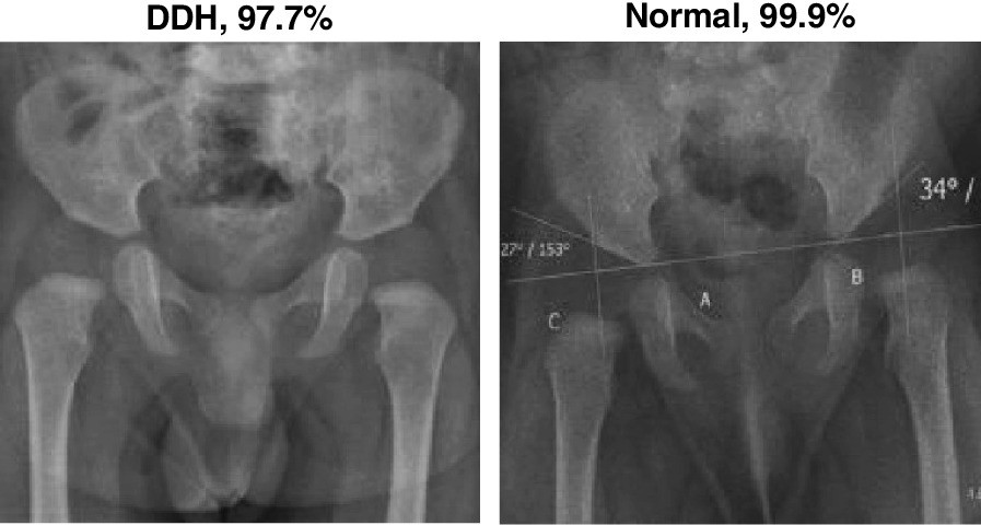 Fig. 10