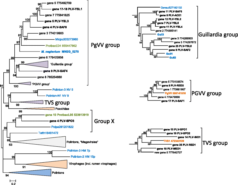 Fig. 5