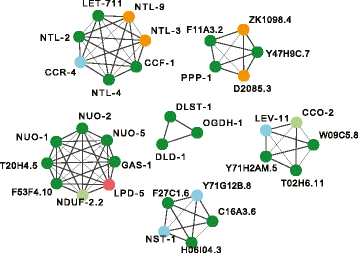 Fig. 9