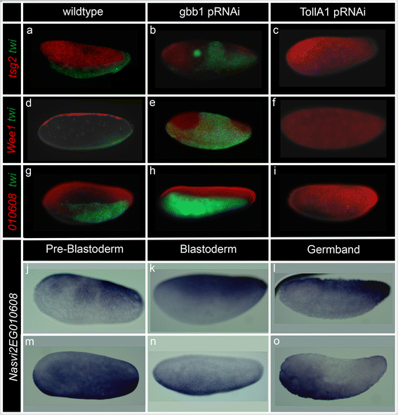 Fig. 9