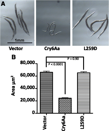 Fig. 5