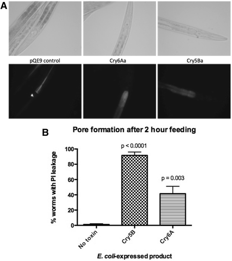 Fig. 6