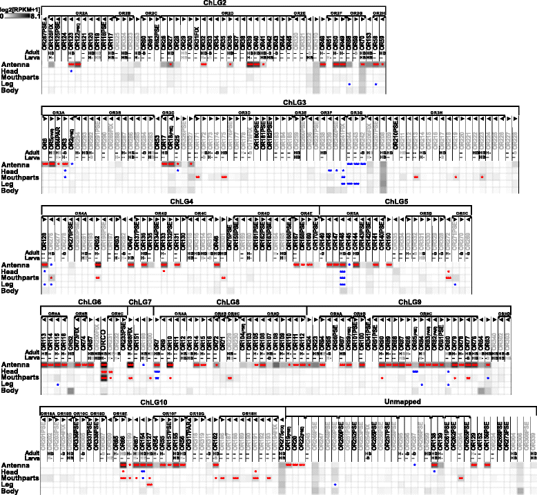 Fig. 11