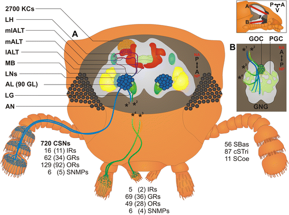 Fig. 16