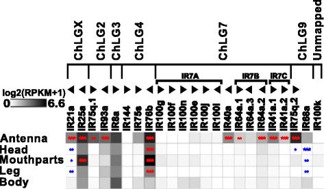 Fig. 7